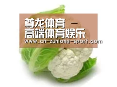 产品名称九