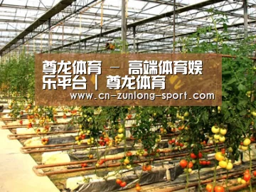 种植基地二(图1)