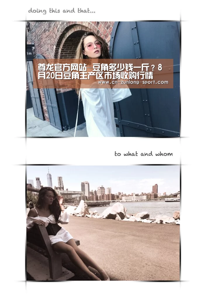 尊龙app下载